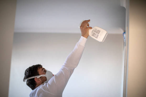 Best Kitchen Mold Remediation in Troy, AL